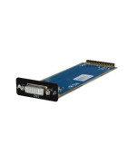 DVI Input Modules