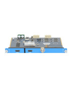 Modules Optionnels de Sortie