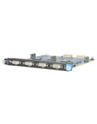 DVI Output Modules